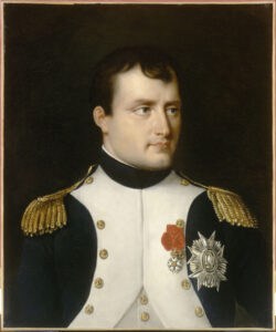Robert Lefevre Napoleon Ier en uniforme de colonel des grenadiers de la garde a pieds Photo C RMN Grand Palais Chateau de Fontainebleau Gerard Blot napoléon, portrait