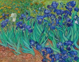 iris van gogh iris-van-gogh