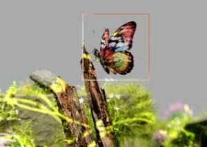 Services generation image IA