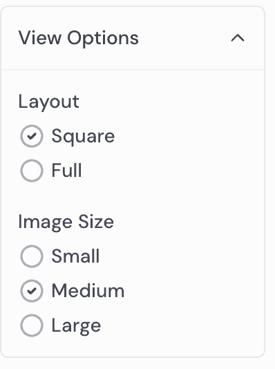 view options Midjourney Alpha