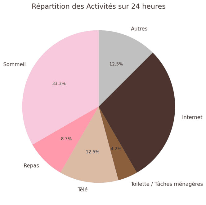 Place d Internet dans une journee e1713876935881 Place d'Internet dans une journée