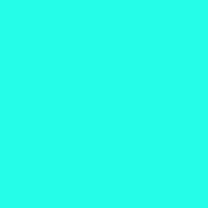 bleu turquoise e1716263331964