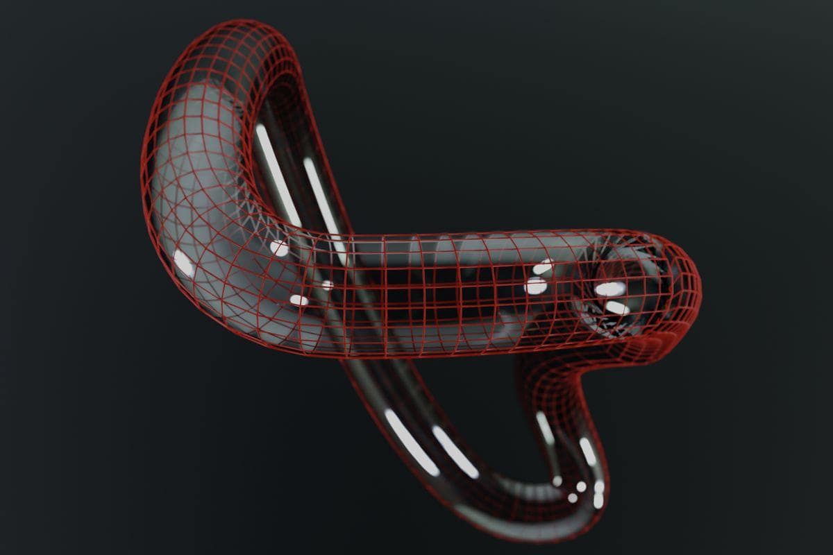 rendu 3d fil de fer Rendu 3D en fil de fer d'une forme organique rouge sur fond noir, montrant le maillage polygonal d'un modèle